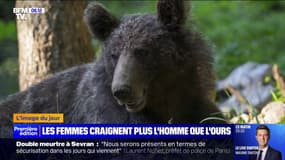 Beaucoup de femmes préféreraient croiser un ours  brun plutôt qu'un homme lors d'une balade en forêt