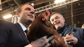 Emmanuel Macron et sa nouvelle poule, "Agathe", adoptée au Salon de l'agriculture