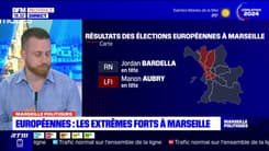 Insécurité, sentiment d'abandon: comment expliquer les chiffres du RN aux européennes à Marseille?