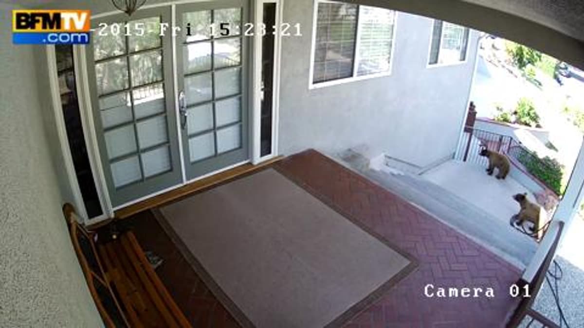 placeholder video