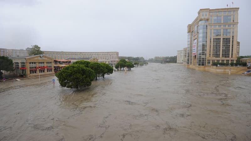 L'Etat de catastrophe naturelle a été déclaré pour une soixantaine de communes de l'Hérault.