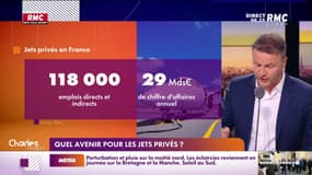 L'avenir des jets privés au menu d'une niche parlementaire des écolos