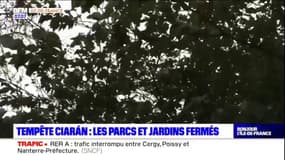 Tempête Ciaran: des parcs et jardins fermés en Île-de-France