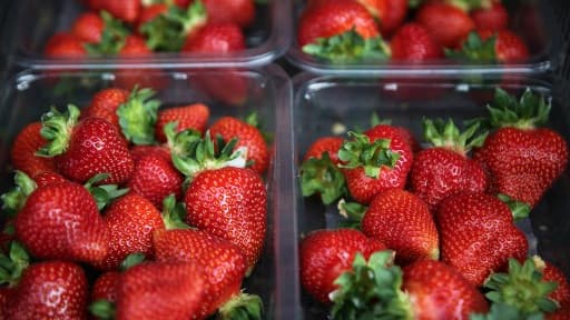 Des fraises - Image d'illustration
