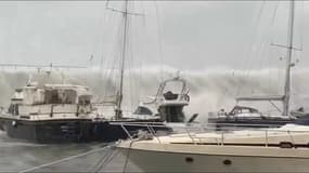 Tempête Gloria: les images de vagues surplombant le port de Barcelone
