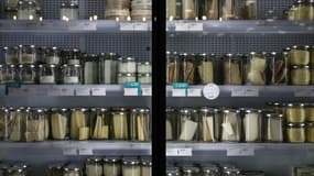 Les rayons remplis de bocaux d'un supermarché à Labège, en Haute-Garonne, le 1er juin 2024. (Photo d'illustration).