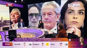 Le clan Delon, divisions et déchirements
