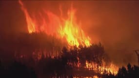 L'incendie, qui a ravagé environ 12.000 hectares en Estrémadure, dans l'ouest de l'Espagne, a été stabilisé samedi 20 mai 2023.