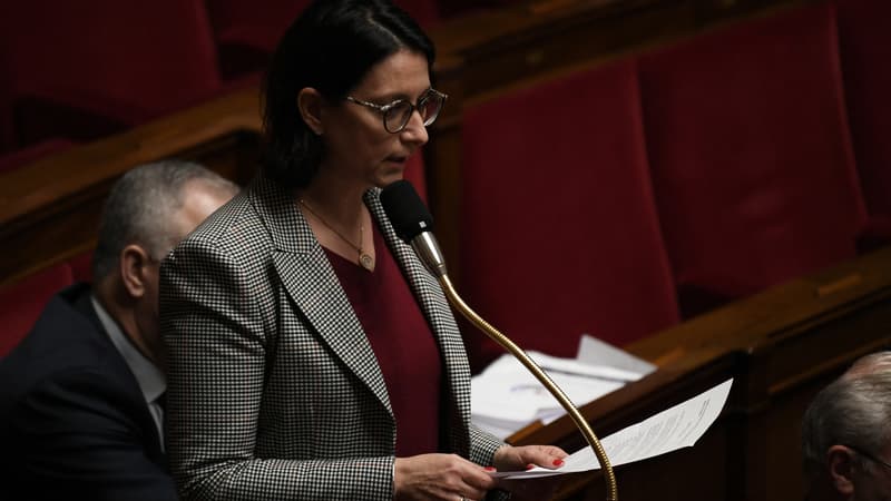 La députée LaREM Isabelle Rauch, à l'Assemblée nationale, en 2019. (PHOTO D'ILLUSTRATION)