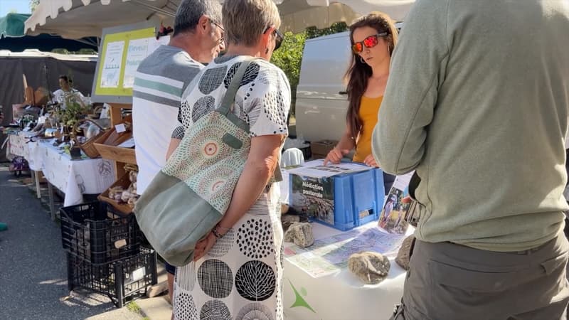 Un stand de médiation installé sur un marché des Hautes-Alpes pour sensibiliser autour de la présence des patous.