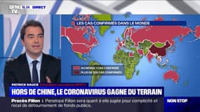 Comment l'épidémie de coronavirus se propage dans le monde ?