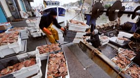 Les pêcheurs de Port-en-Bessin (Calvados) s'inquiètent des conséquences du Brexit 