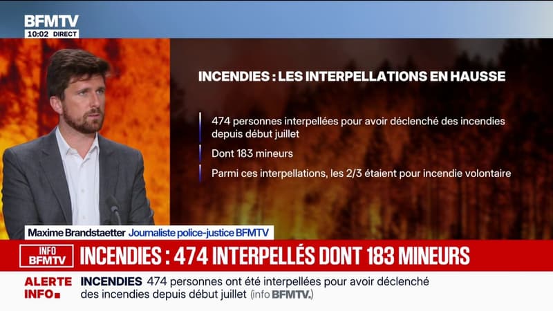 INFO BFMTV. Incendies: 474 personnes ont été interpellées pour avoir déclenché des feux depuis début juillet