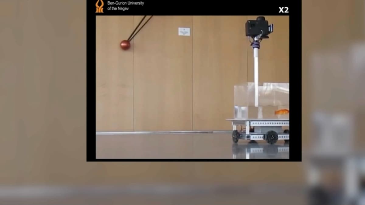 placeholder video