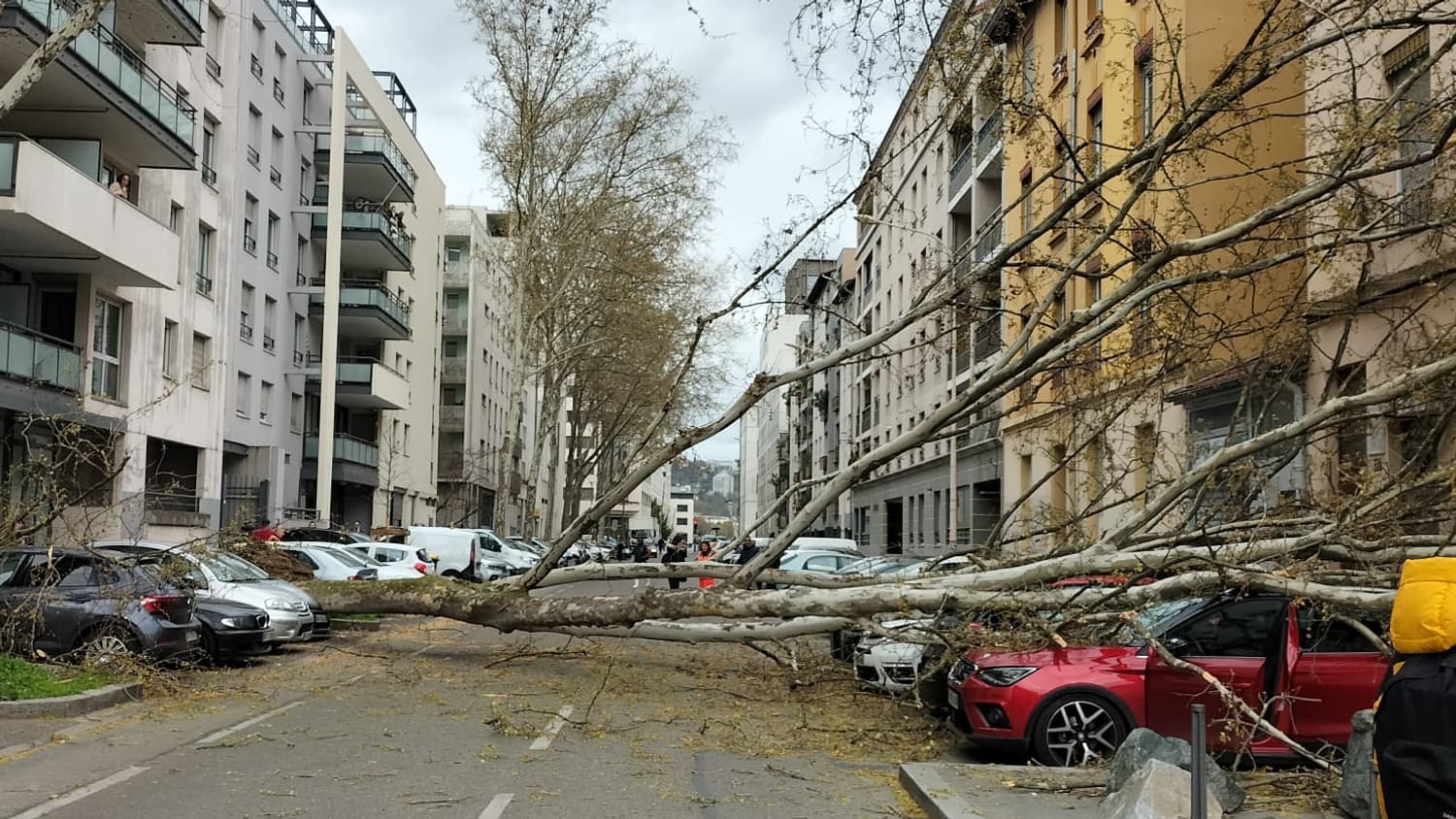 La tempête Nelson se fait sentir à Lyon, où plusieurs arbres sont tombés sur la chaussée. La tempête Nelson se fait sentir à Lyon, où plusieurs arbres sont tombés sur la chaussée.