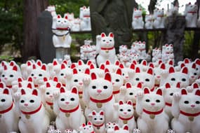 Tokyo: un temple des chats porte-bonheur attire les instagrammeurs
