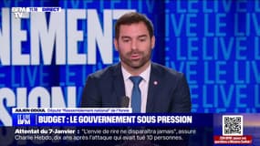 Budget: "Nous déversons de l'argent aux quatre coins du monde, alors qu'on demande aux Français toujours plus d'efforts", affirme Julien Odoul (RN)