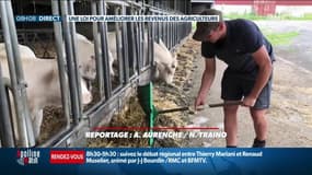 Vers une juste rémunération des agriculteurs ? Un nouveau texte porté à l'Assemblée nationale