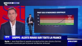 Story 3 : Grippe, alerte rouge sur toute la France - 03/01