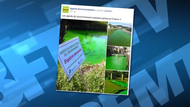Plusieurs rivières ont pris une teinte vert fluo, ce lundi.