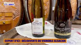 Expert d'ici : Découverte du vignoble Alsacien 3