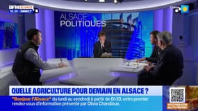 Que pensent les agriculteurs alsaciens de l'accord de libre-échange entre l'UE et le Mercosur?