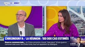 Chikungunya à La Réunion: "Le virus ne se transmet pas d'homme à homme", explique le directeur de l'unité virus et immunité de l'Institut Pasteur