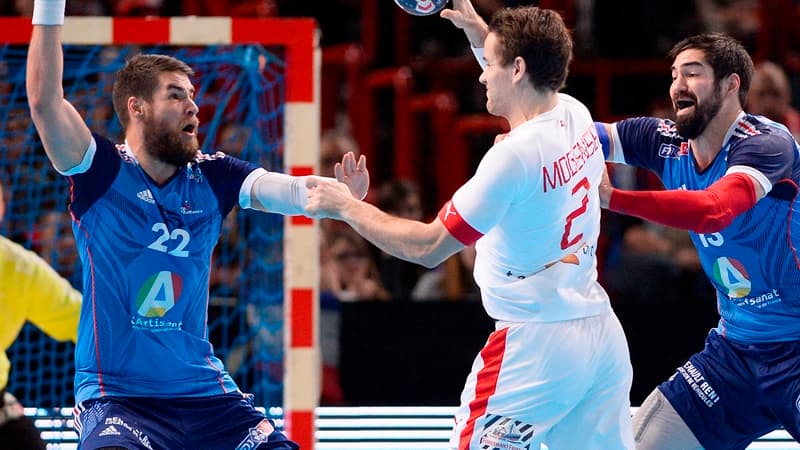 Les frères Karabatic