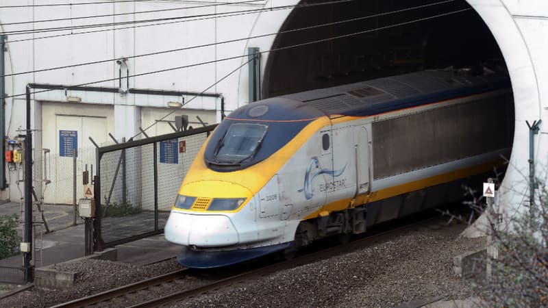 Un train Eurostar dans le tunnel sous la Manche, le 10 avril 2014. (Illustration)