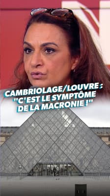 Cambriolage au Louvre : "C'est le symptôme de la Macronie"