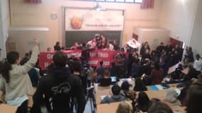 Munis de "banderoles", les opposants au mariage homosexuel criaient 'nous sommes le peuple, nous sommes le peuple'"