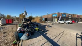 Dans la zone industrielle de Châteauneuf-les-Martigues, les déchets attirent les cochons sauvages