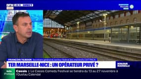 Marseille: les cheminots opposés à la privatisation de la ligne TER Marseille-Nice