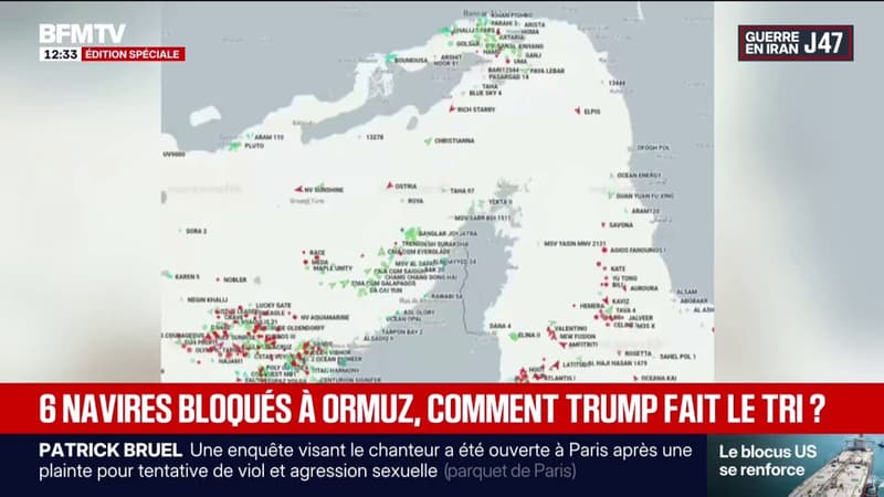À quoi ressemble le trafic maritime en plein blocage du détroit d'Ormuz?