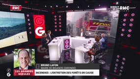Incendies incontrôlables ! Bruno Lafon, maire en Gironde : "Nous sommes dans des conditions que nous n'avons jamais connu !"