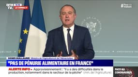 Didier Guillaume (ministre de l'Agriculture) : "240.000 personnes se sont inscrites sur la plateforme" pour aider les exploitations agricoles