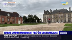 Orne: le haras du Pin, futur monument préféré des Français?