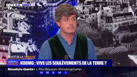 Le mouvement des Soulèvements de la terre est "assez raisonnable", selon Gaspard Koenig