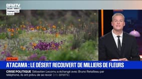 Le break du 7 octobre