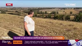 Quand la sécheresse empêche les semences de pousser