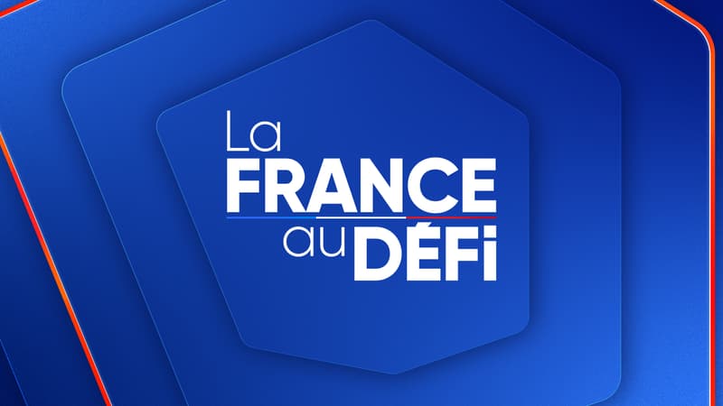 "La France au défi", sur BFM Business