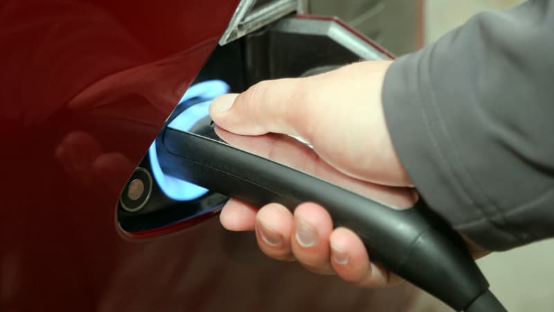 Le nouveau petit gadget sur la Model S transforme le halo bleu de la prise de recharge de la Model S en un halo lumineux. C'est devenu une tradition chez Tesla d'introduire de petites fonctions rigolotes lors de mises à jour logicielles de ses modèles.