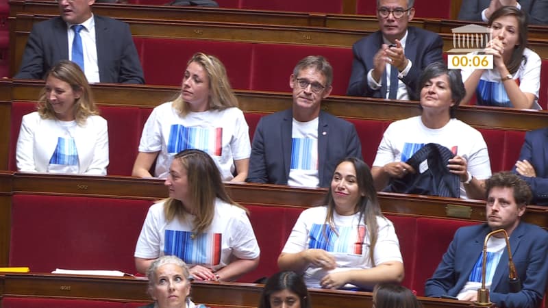 Des députés écologistes rappelés à l'ordre pour des t-shirts illustrant le réchauffement climatique