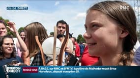 Pourquoi Greta Thunberg dérange-t-elle certains députés français?