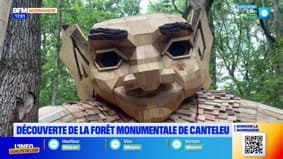 L'été chez nous: la forêt monumentale de Canteleu