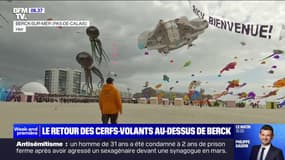 C'est le retour des mythiques rencontres internationales de cerfs-volants au-dessus de Berck-sur-Mer, dans le Pas-de-Calais 