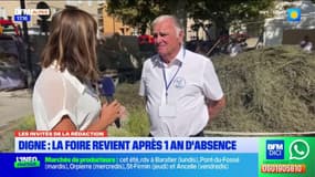 Digne-les-Bains: la foire de la lavande fait son retour après un an d'absence