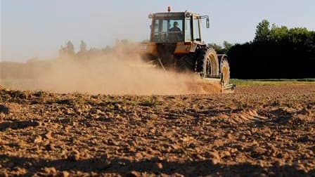 Exploitation agricole près de Blécourt, dans le nord de la France. Paris a demandé à l'Union européenne de venir en aide aux agriculteurs français touchés par une sécheresse grandissante, a annoncé le ministre de l'Agriculture Bruno Le Maire. /Photo prise