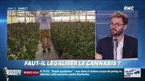 Faut-il légaliser le cannabis? Ça fait débat sur RMC