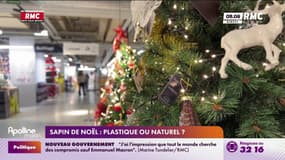 Le débat des sapins de Noël: naturel ou artificiel ?